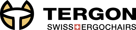 TERGON Swiss Ergochairs - €100k Revenue in 90 Days